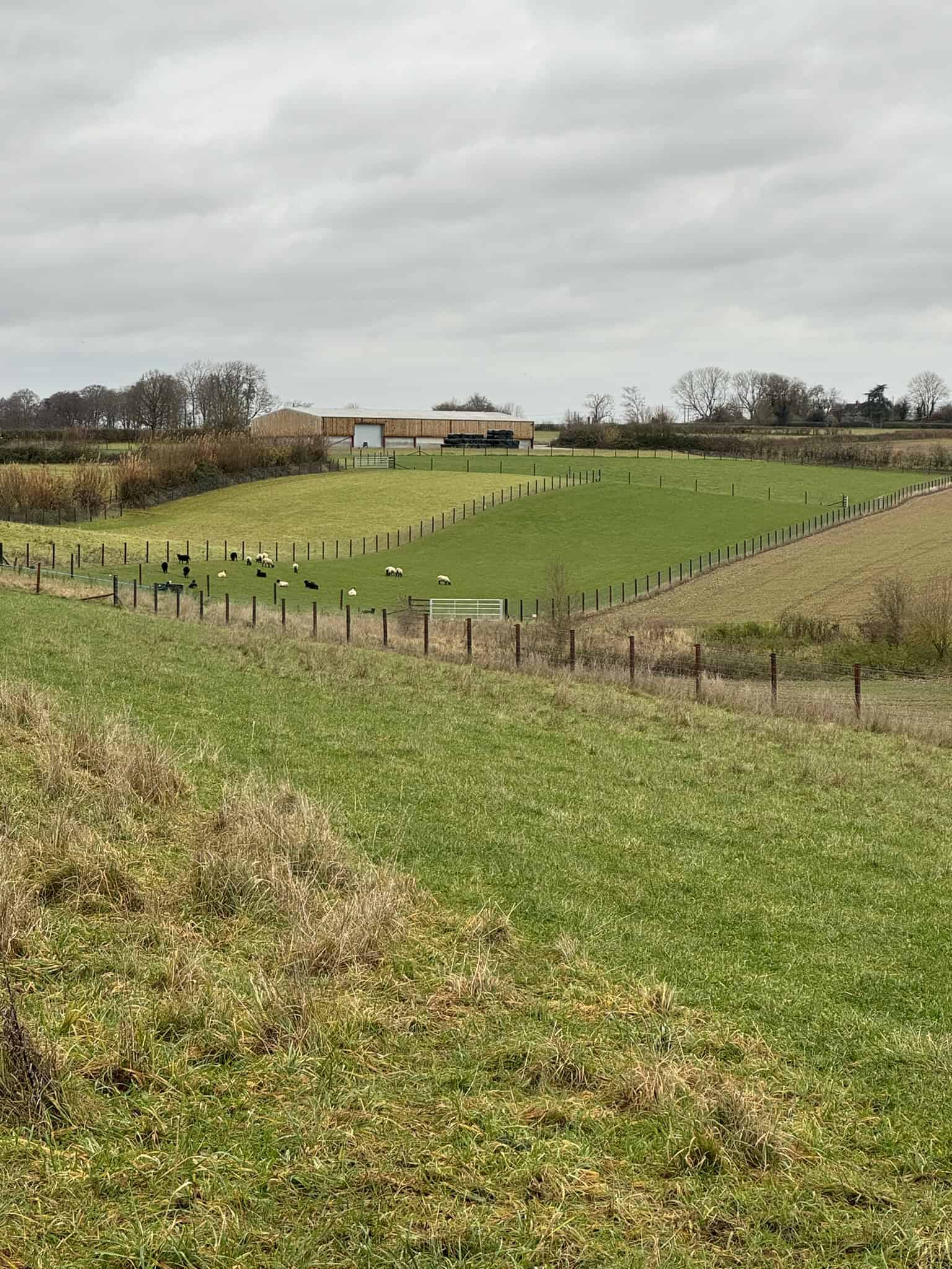 Looking at a group of 5 paddocks that can be used for rotational grazing. All fencing and maintenance done by Sussex Stables