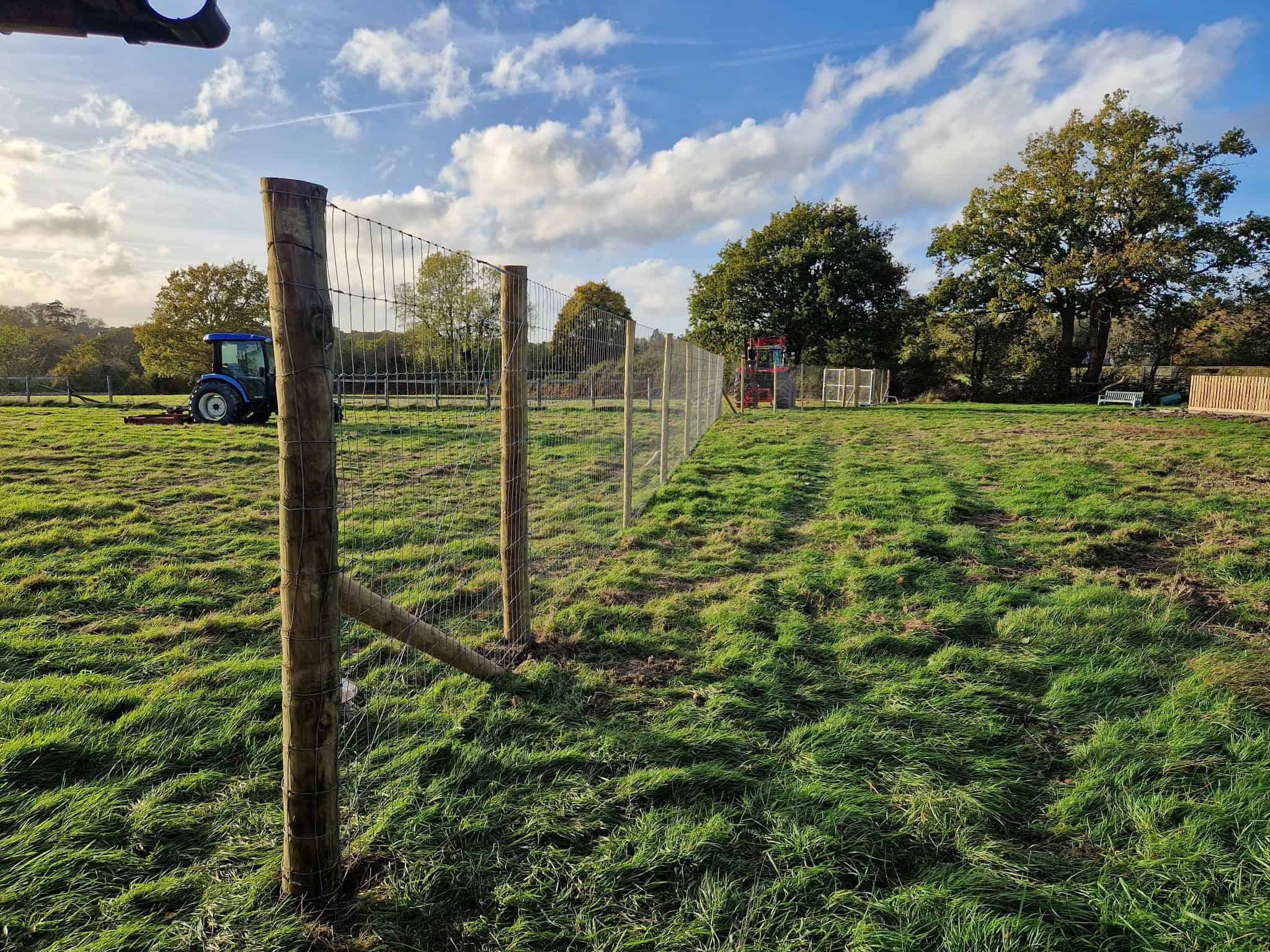Run of deer fencing