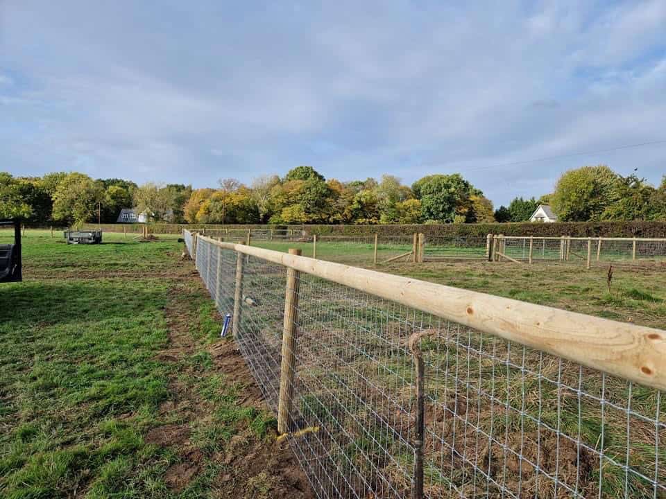 Horse netting with top rail
