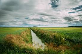 Field drainage ditch