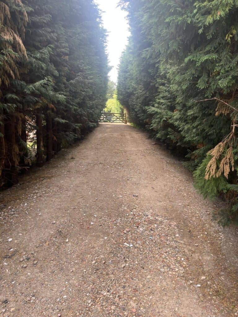 Recycled MOT track